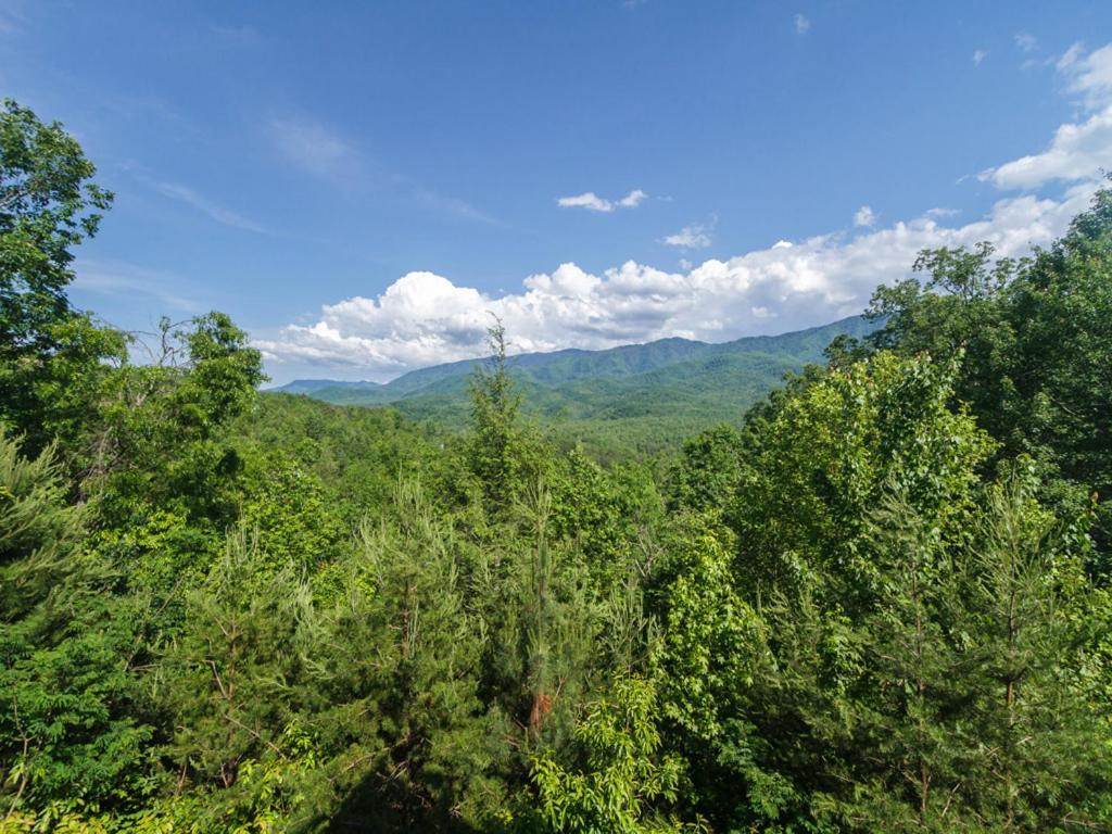 Villa Dreamscapes Gatlinburg Esterno foto